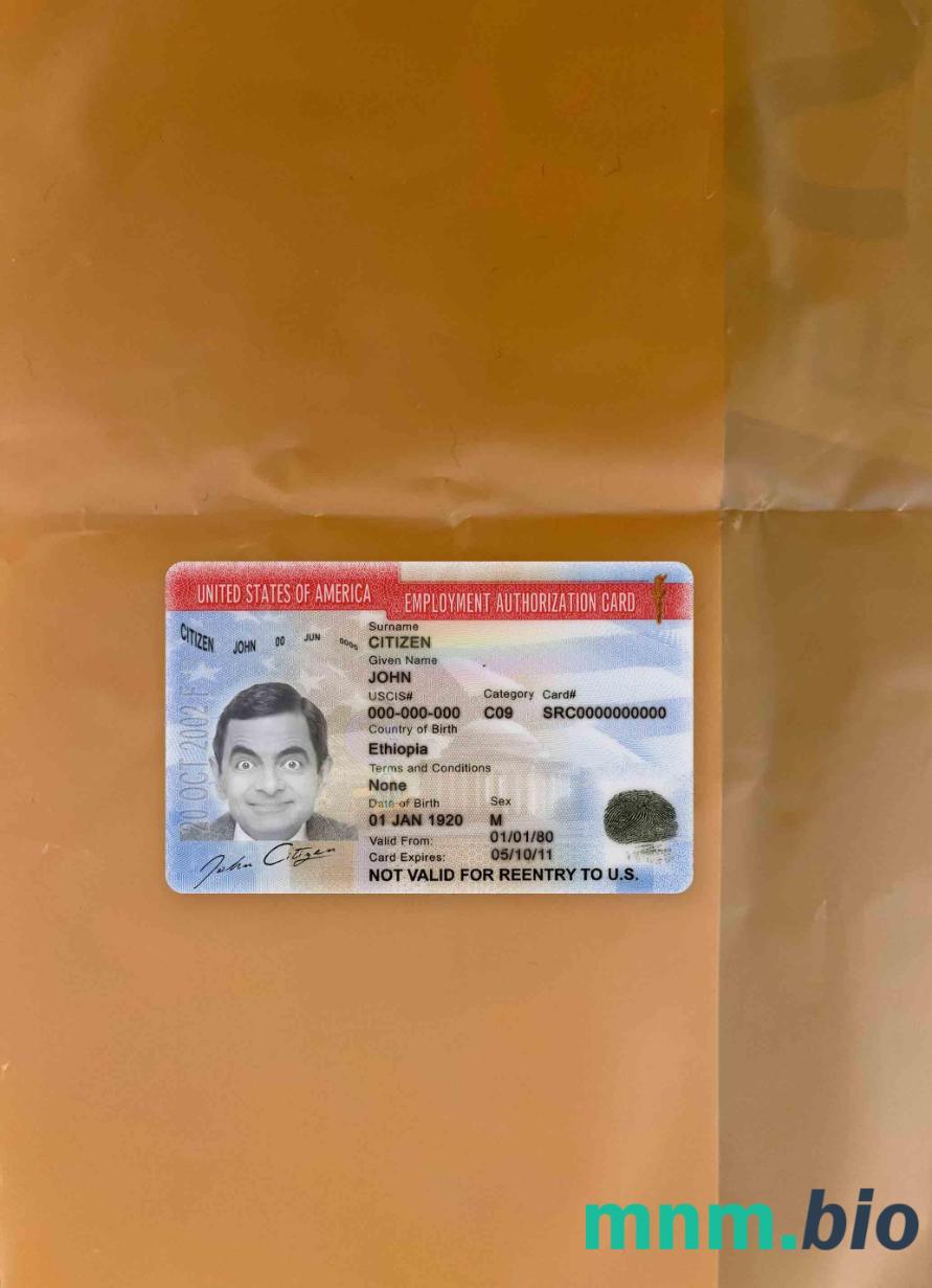 USA karta autoryzacji zatrudnienia wersja 2 fotowygląd szablon PSD